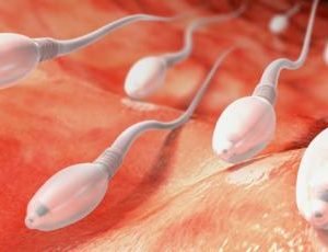 Sêmen – 9 Curiosidades Sobre o Sêmen Que Você Não Sabia