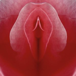 Fimose feminina: Efeitos na Função Sexual e quais Resultados do Tratamento