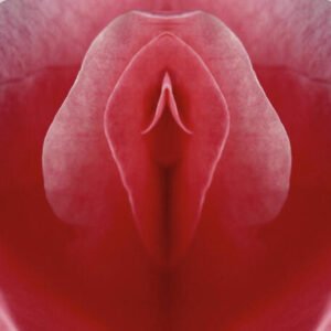 Fimose feminina o que é: Causas e como é o tratamento