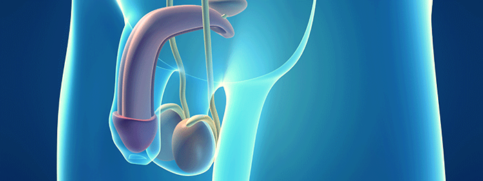 como tirar o freio curto do penis