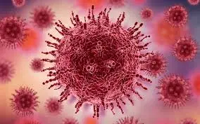 glândulas-de-tyson-ou-hpv